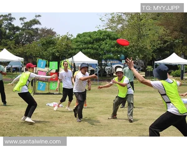 武汉飞盘队与杭州飞盘队赛后技术复盘分析与战术探讨